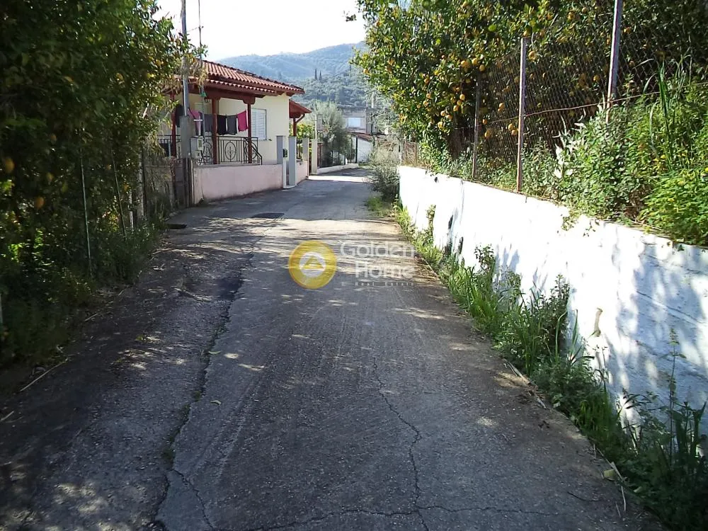 Αγροτεμάχιο 2725τ.μ.  - 4