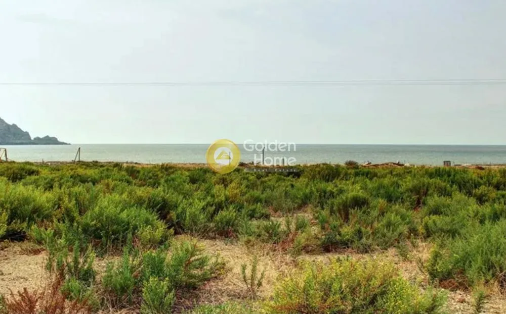 Αγροτεμάχιο 4000τ.μ.  - 3