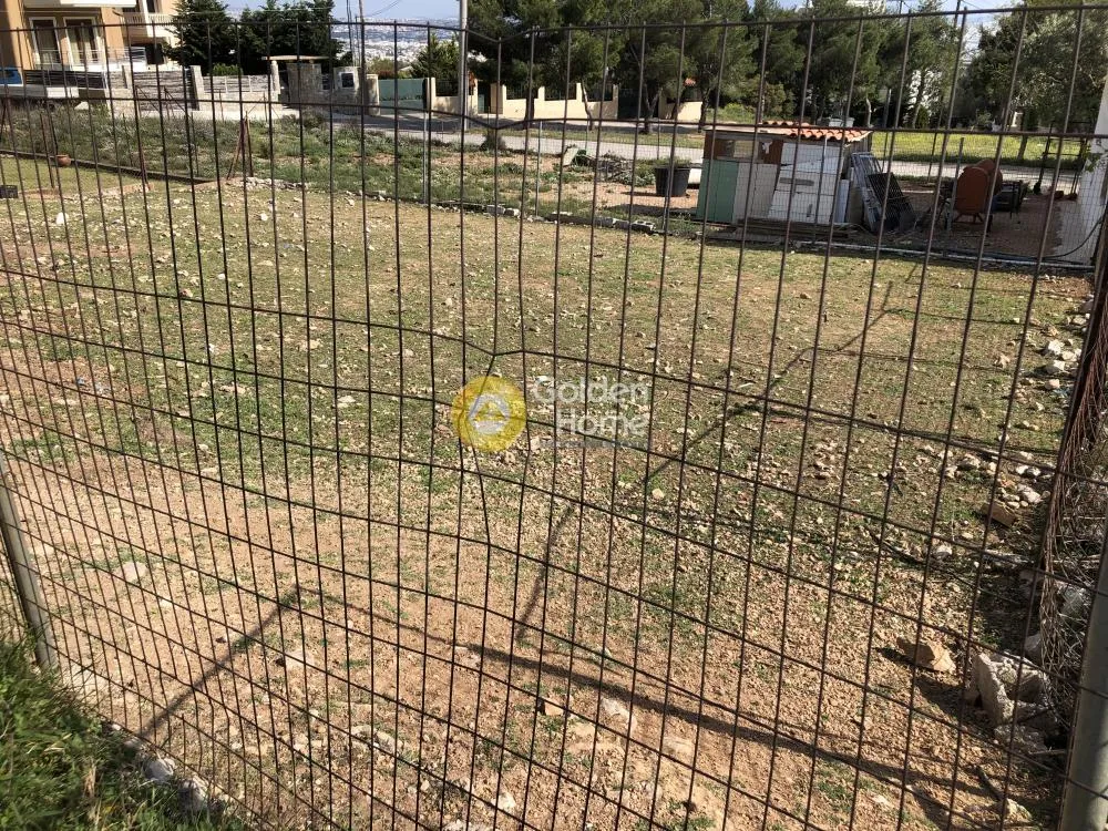 Αγροτεμάχιο 228τ.μ.  - 3