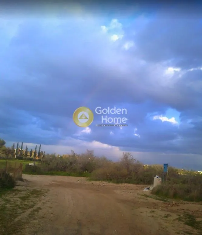 Land Parcel 2000m²  - 2