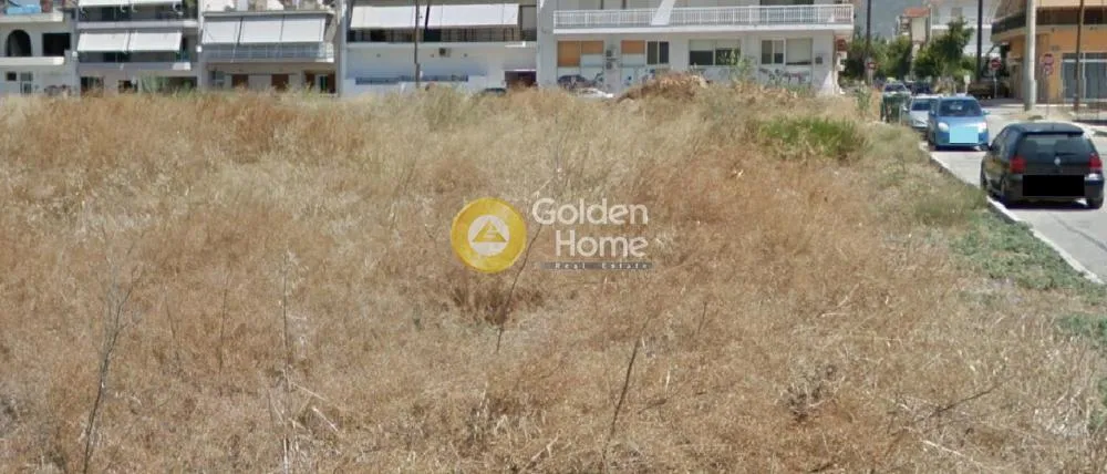 Άλλο.. 4246τ.μ.  - 5