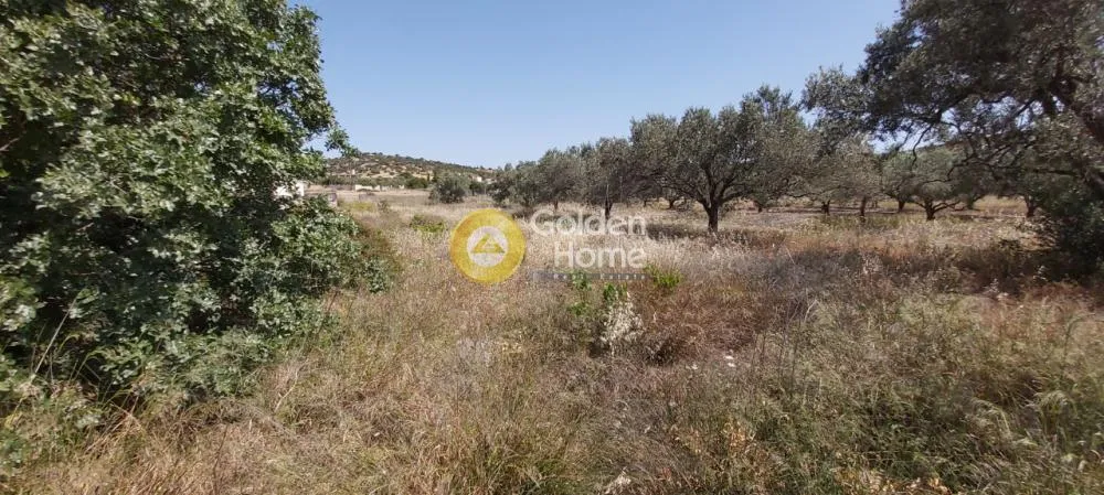 Αγροτεμάχιο 1150τ.μ.  - 3