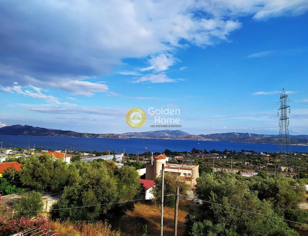 Μονοκατοικία 175τ.μ.  - 2