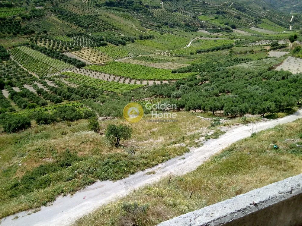 Αγροτεμάχιο 600τ.μ.  - 3