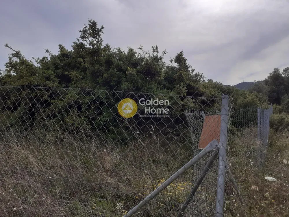 Άλλο.. 360τ.μ.  - 2