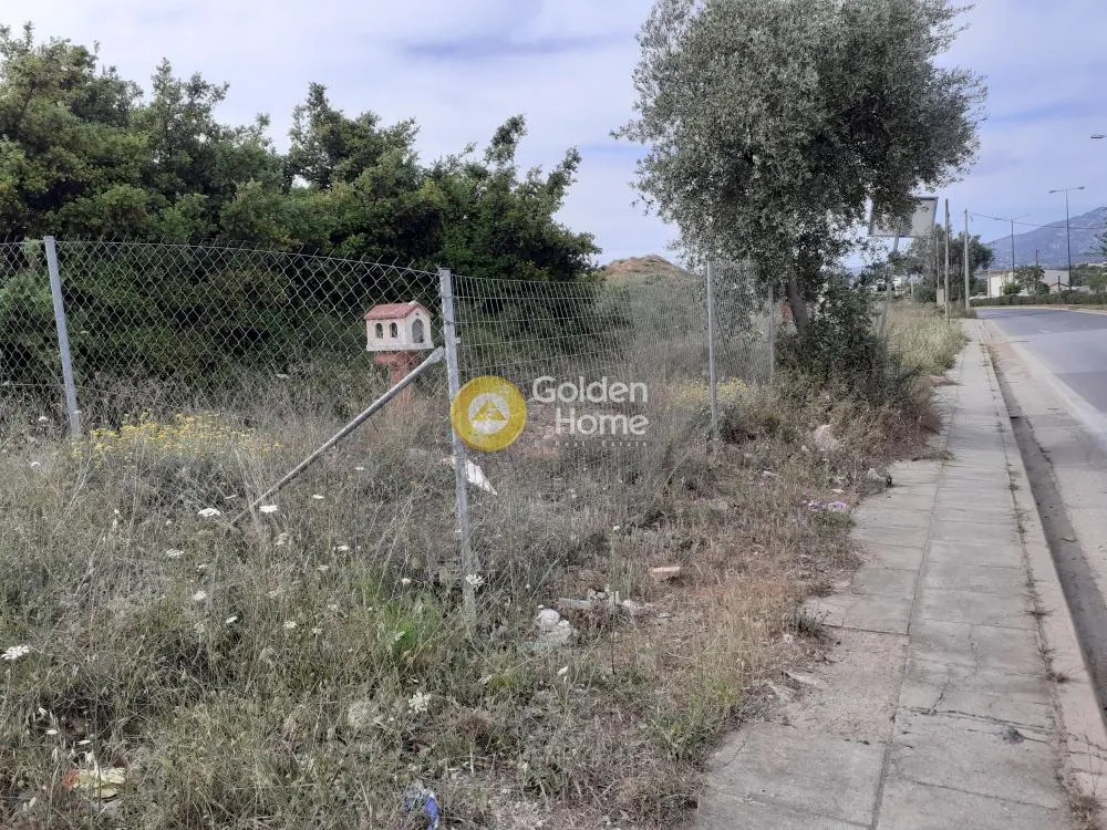 Άλλο.. 360τ.μ.  - 3