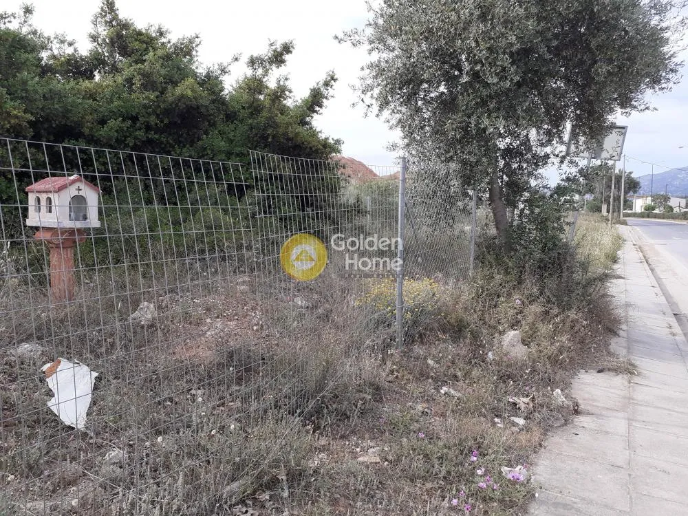 Άλλο.. 360τ.μ.  - 4