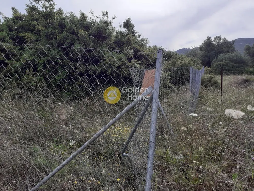 Άλλο.. 360τ.μ.  - 5