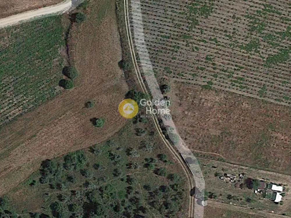 Αγροτεμάχιο 2600τ.μ.  - 2