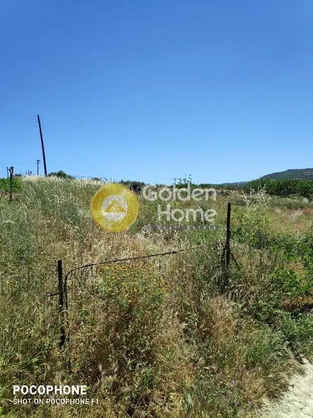 Οικόπεδο 1525τ.μ.  - 5