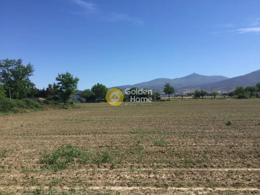 Αγροτεμάχιο 6400τ.μ.  - 2