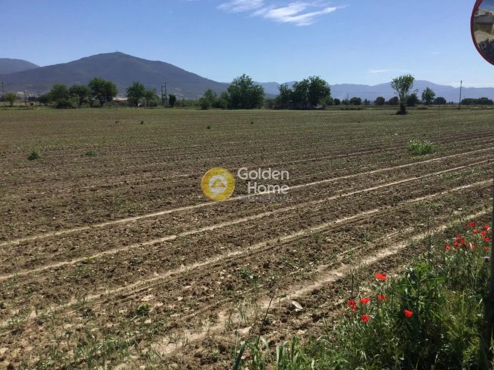 Αγροτεμάχιο 6400τ.μ.  - 4