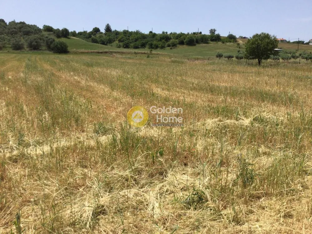 Αγροτεμάχιο 10500τ.μ.  - 3