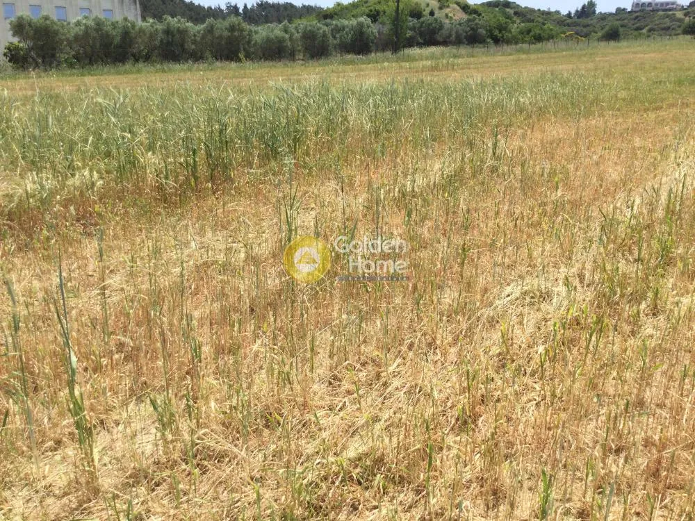 Αγροτεμάχιο 10500τ.μ.  - 4