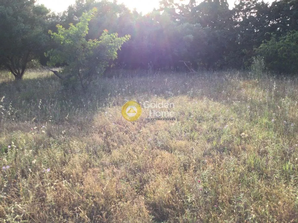 Αγροτεμάχιο 5100τ.μ.  - 5