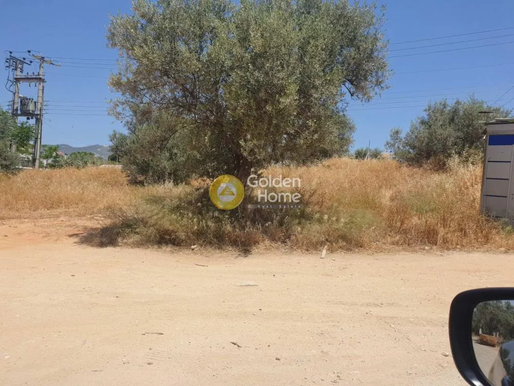 Άλλο.. 13000τ.μ.  - 2