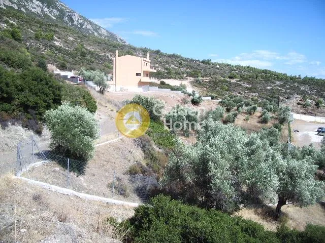 Μονοκατοικία 240τ.μ.  - 5