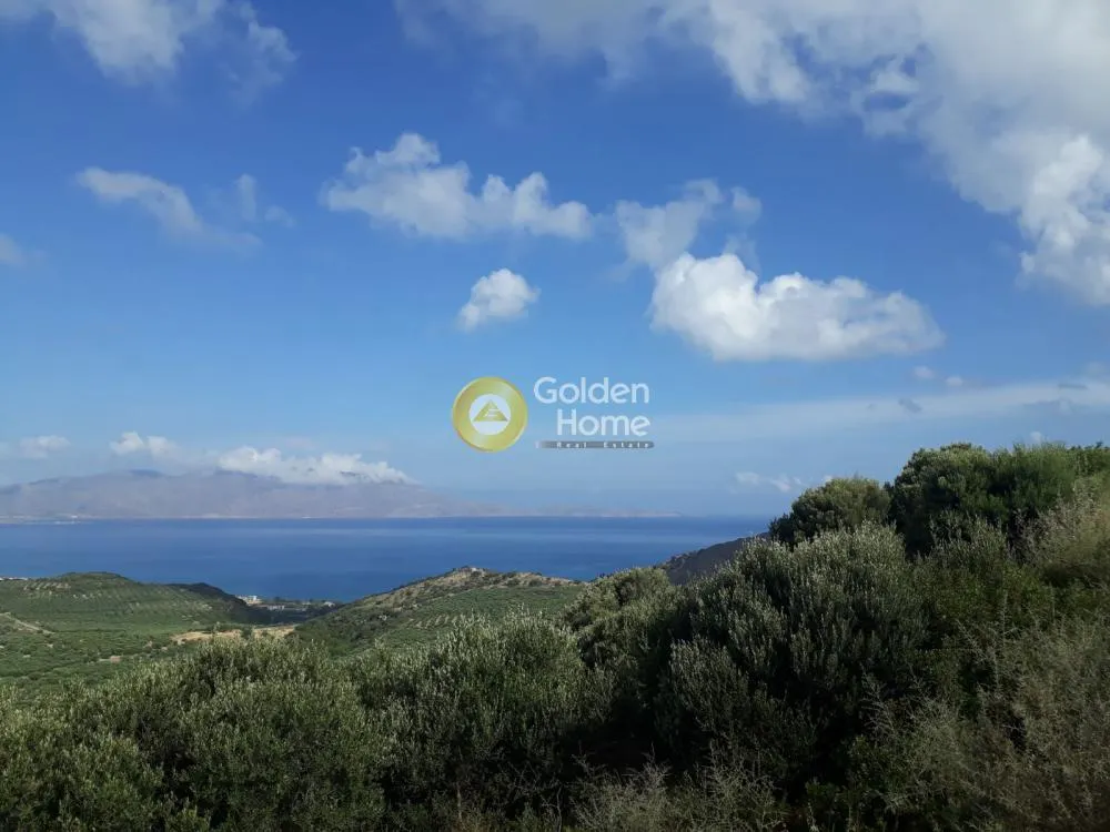 Αγροτεμάχιο 30365τ.μ.  - 2