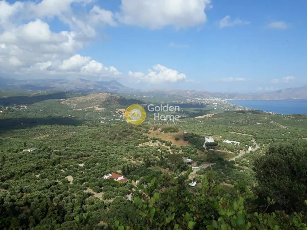 Αγροτεμάχιο 30365τ.μ.  - 3