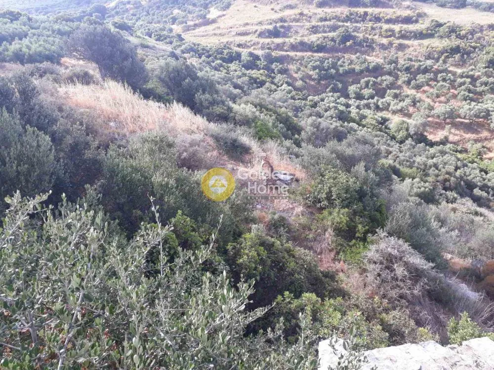 Αγροτεμάχιο 30365τ.μ.  - 4