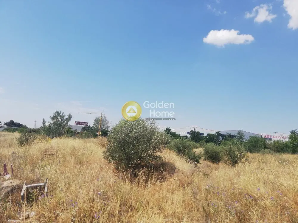 Αγροτεμάχιο 8400τ.μ.  - 2