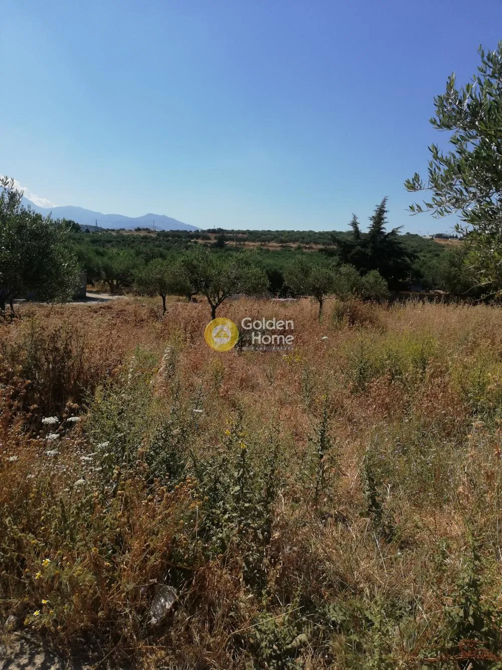Plot 273m²  - 2