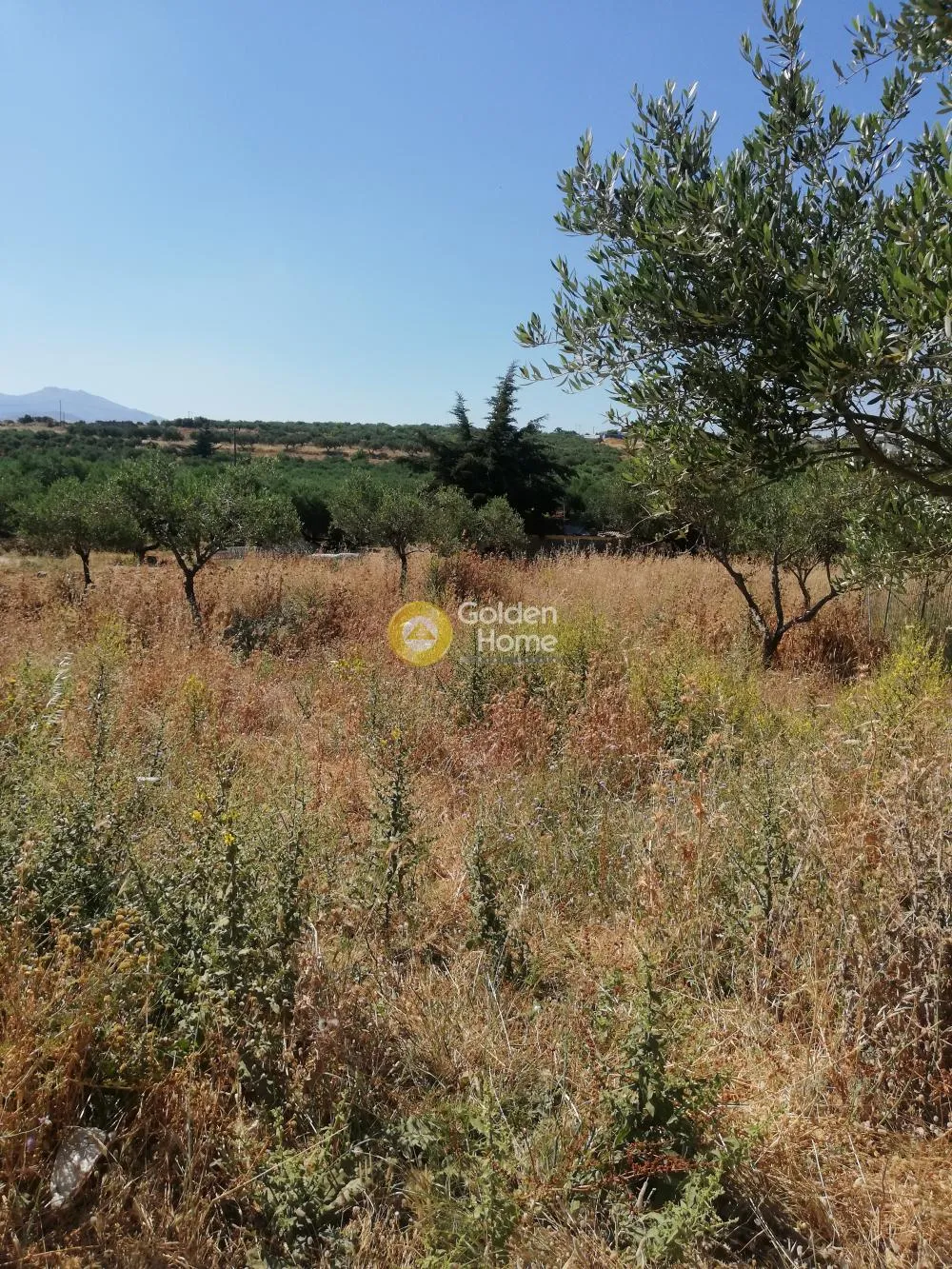 Plot 273m²  - 4