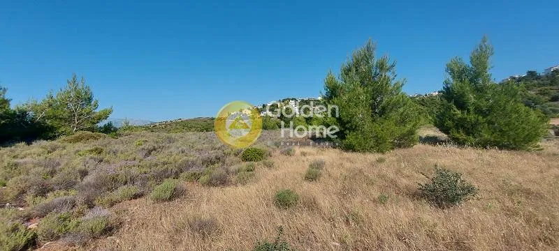 Αγροτεμάχιο 40000τ.μ.  - 3