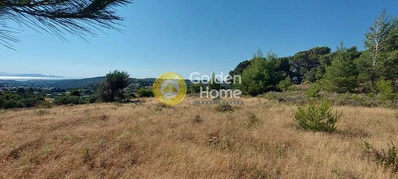 Αγροτεμάχιο 40000τ.μ.  - 4