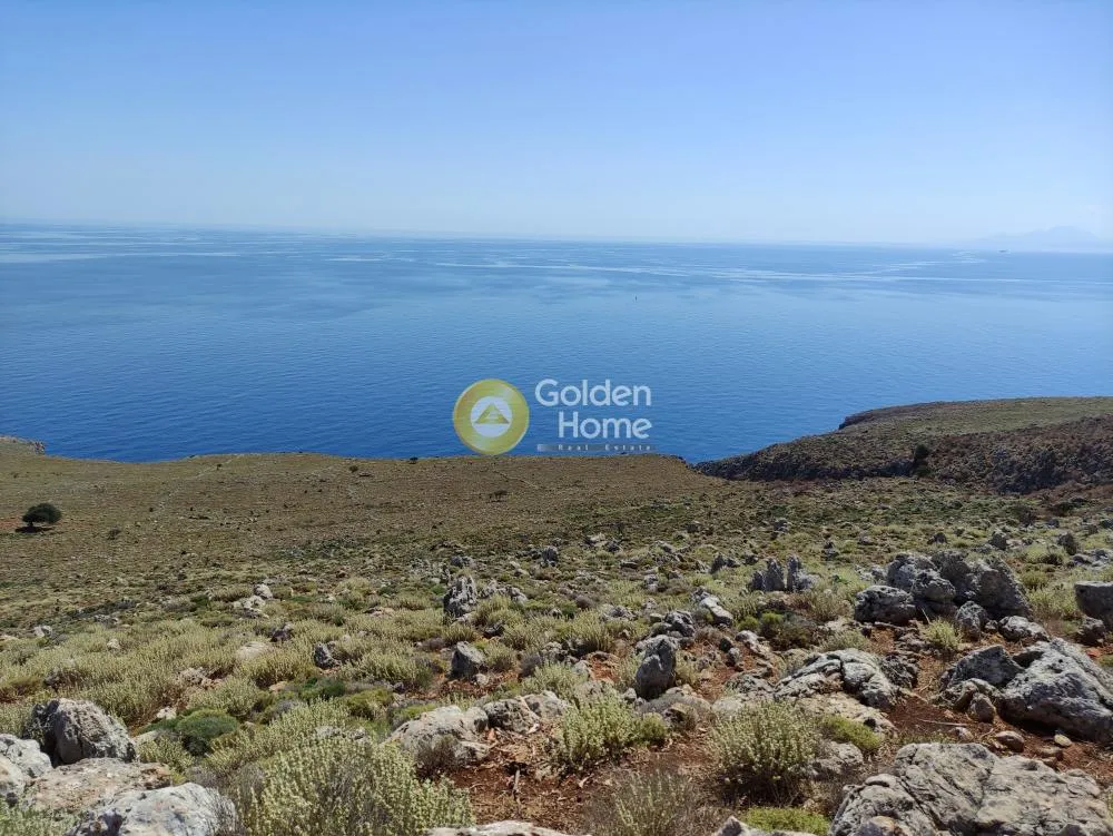 Οικόπεδο 35000τ.μ.  - 2