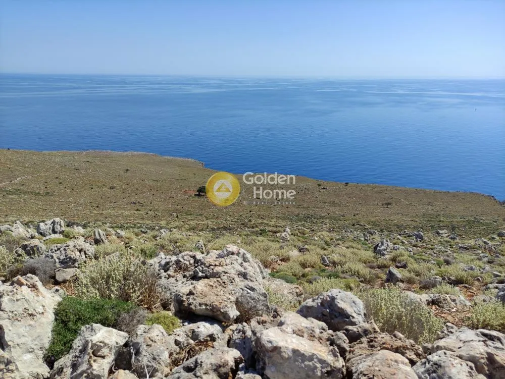 Οικόπεδο 35000τ.μ.  - 3