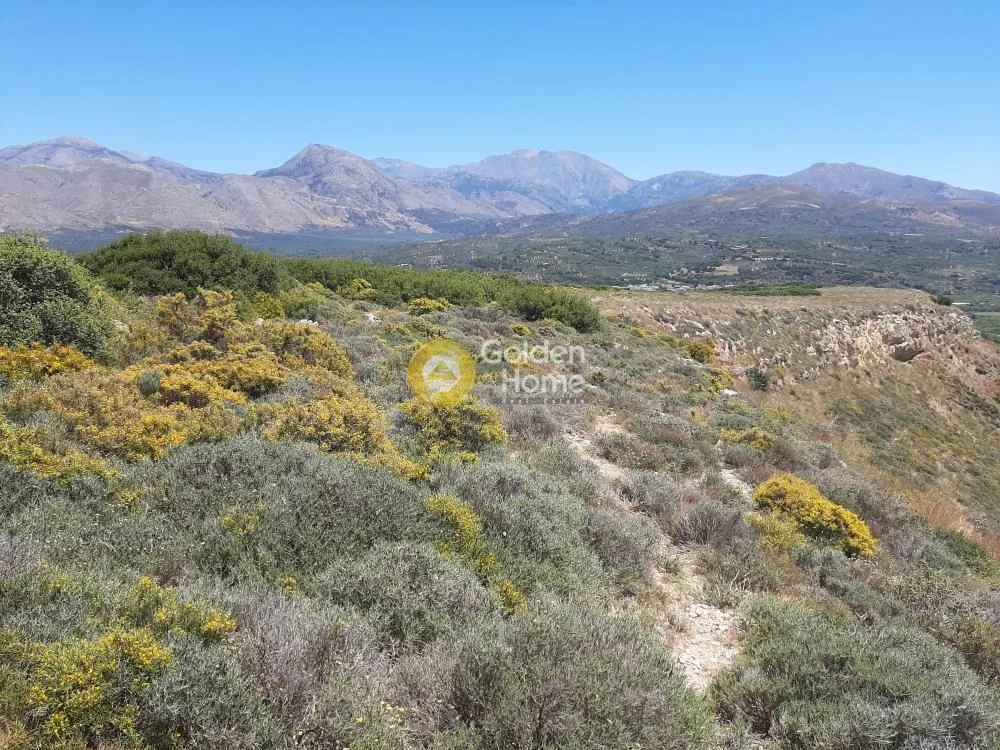 Land Parcel 70000m²  - 4