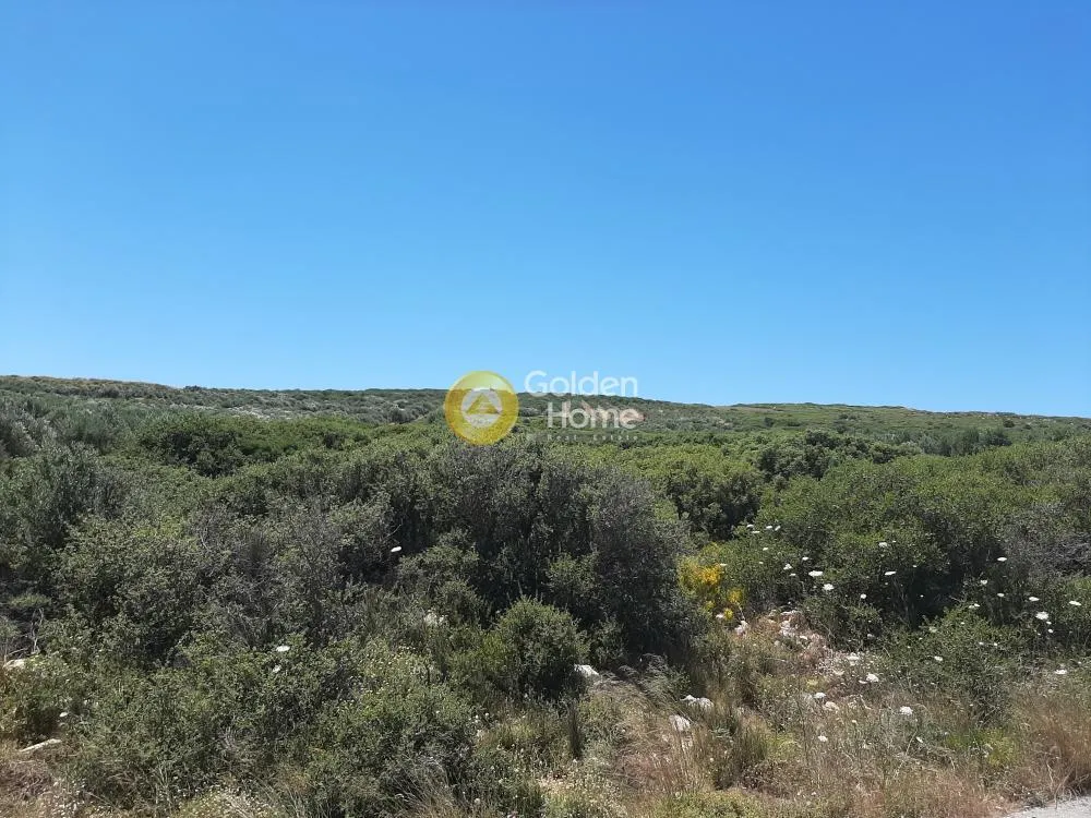 Land Parcel 70000m²  - 5