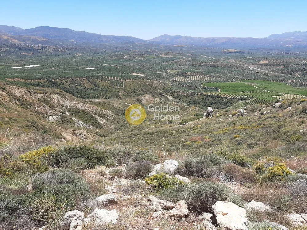 Land Parcel 15000m²  - 2
