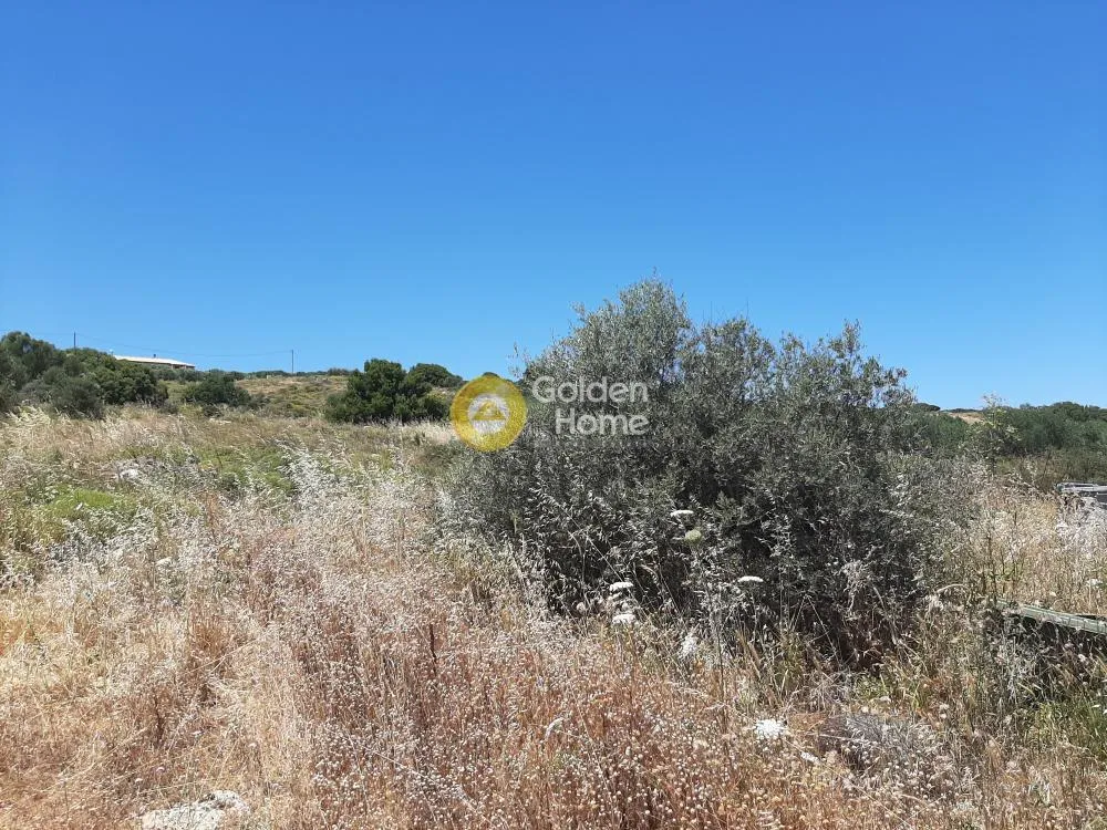 Land Parcel 20000m²  - 3
