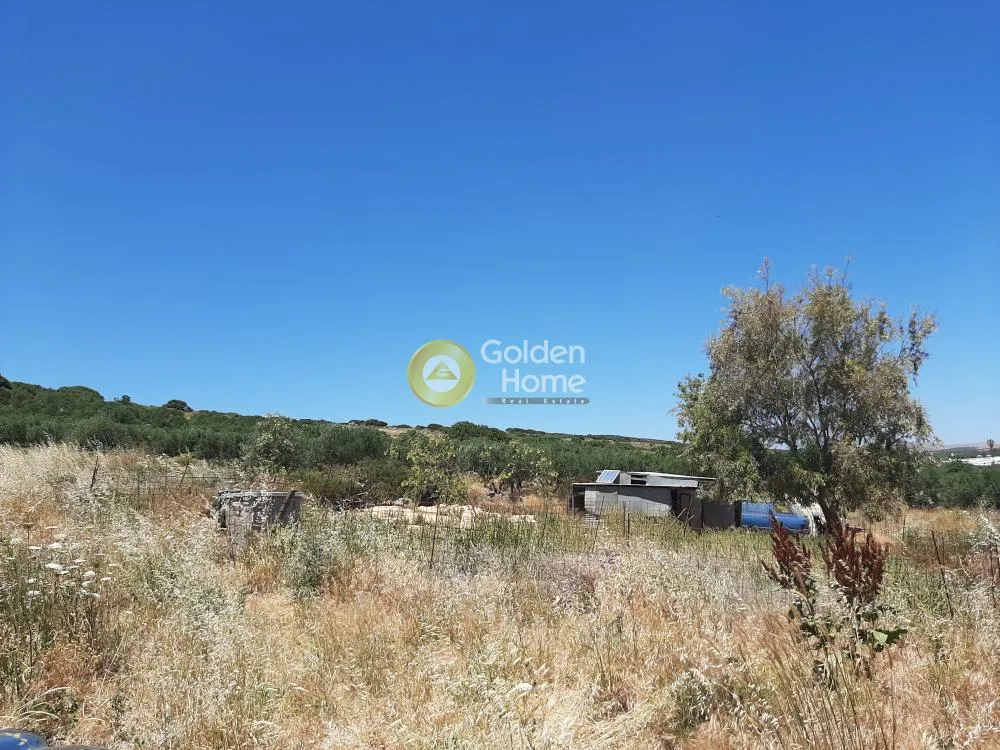 Land Parcel 20000m²  - 5