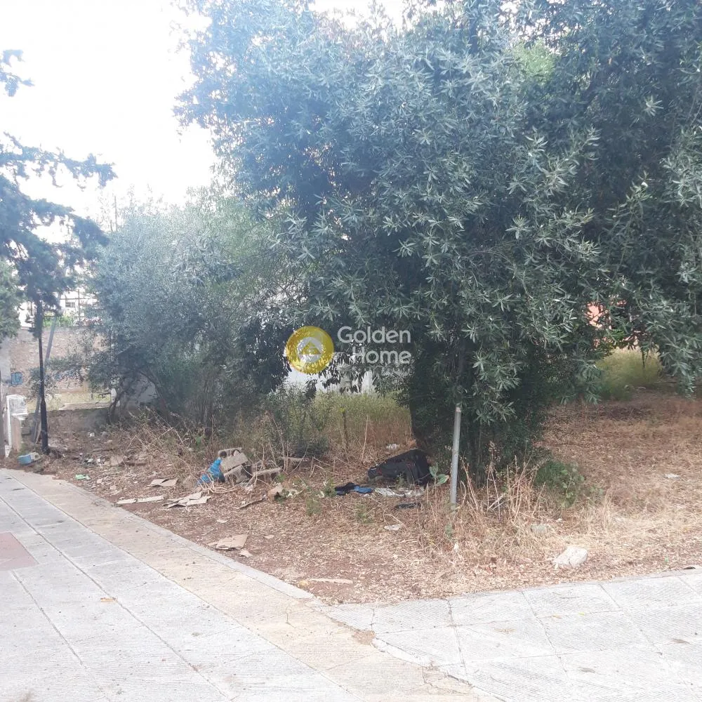 Άλλο.. 393τ.μ.  - 2