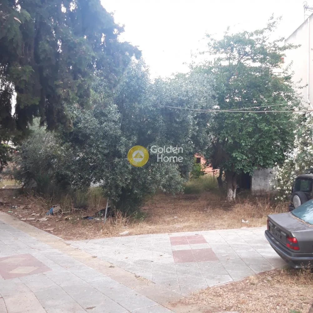 Άλλο.. 393τ.μ.  - 3
