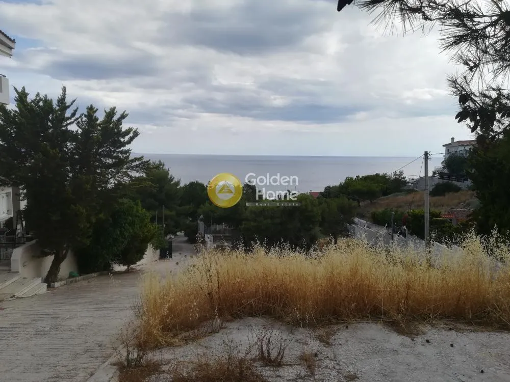 Μονοκατοικία 484τ.μ.  - 5