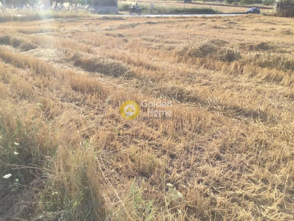 Αγροτεμάχιο 7020τ.μ.  - 3