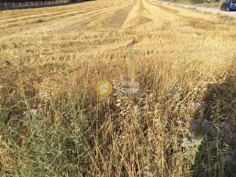 Αγροτεμάχιο 7020τ.μ.  - 4
