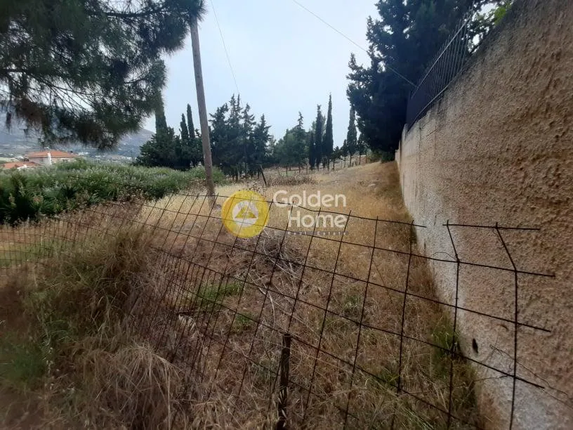 Αγροτεμάχιο 748τ.μ.  - 2