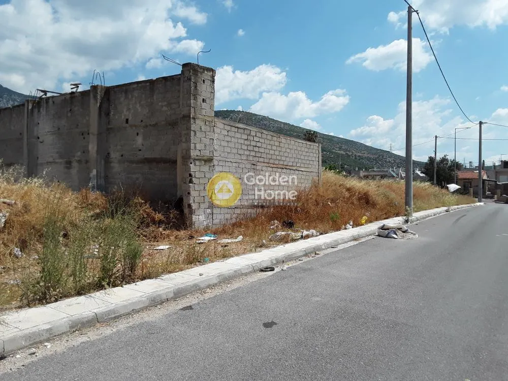 Other .. 1324m²  - 4