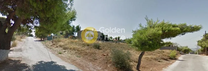 Αγροτεμάχιο 1000τ.μ.  - 5