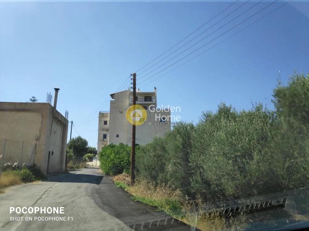 Οικόπεδο 2500τ.μ.  - 4