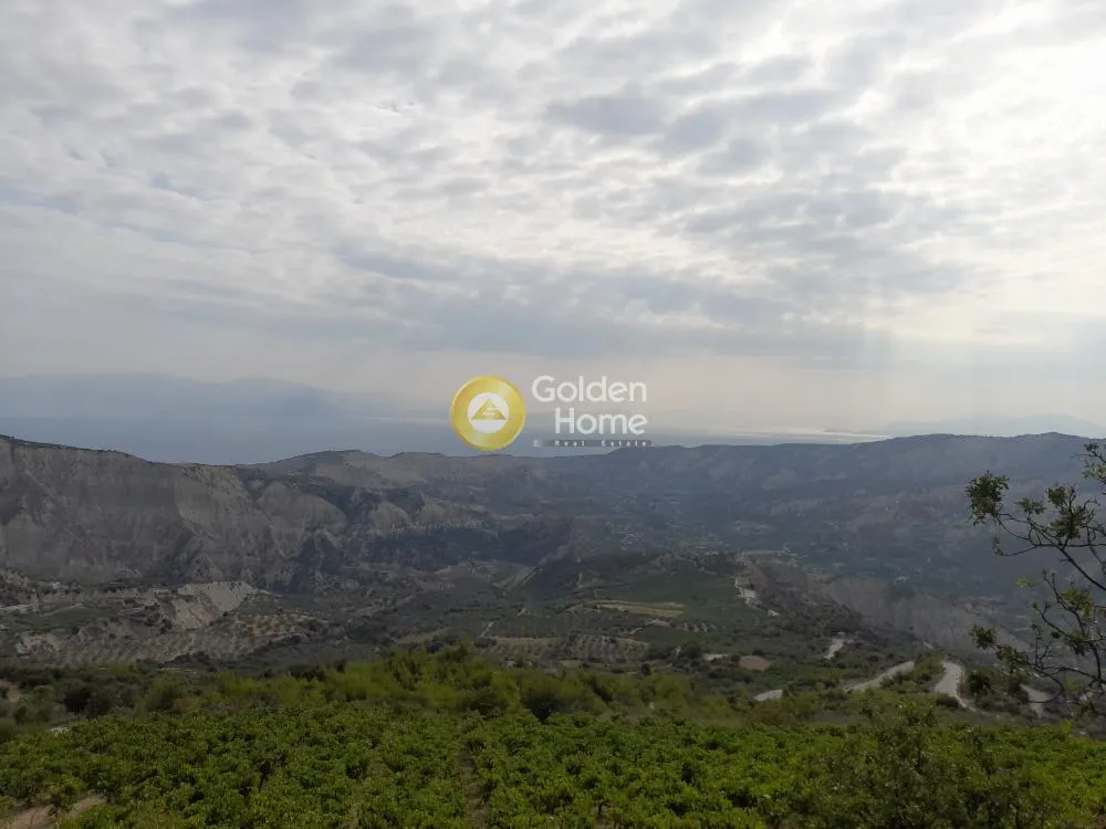 Άλλο.. 9800τ.μ.  - 5