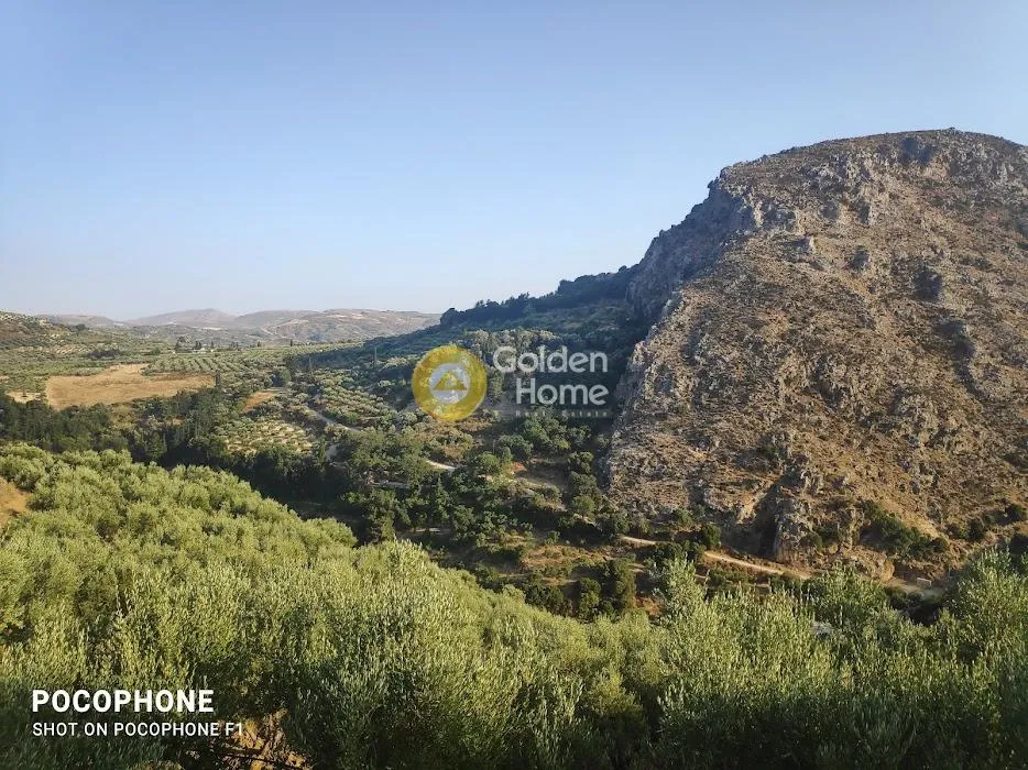 Αγροτεμάχιο 6300τ.μ.  - 2