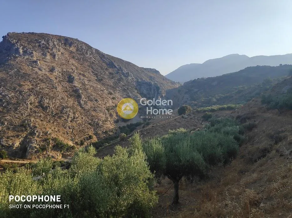 Αγροτεμάχιο 6300τ.μ.  - 3