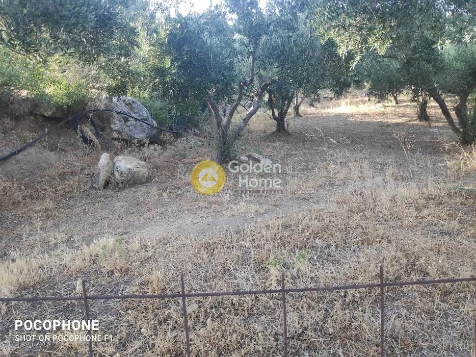 Αγροτεμάχιο 6300τ.μ.  - 4