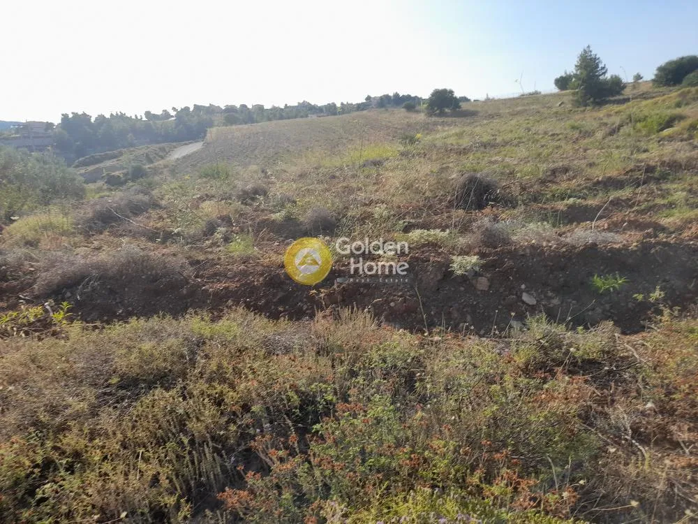 Αγροτεμάχιο 3100τ.μ.  - 2